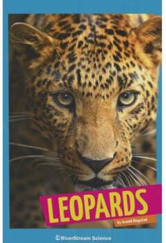 Leopards