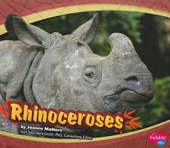 Rhinoceroses