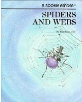 Spiders and Webs