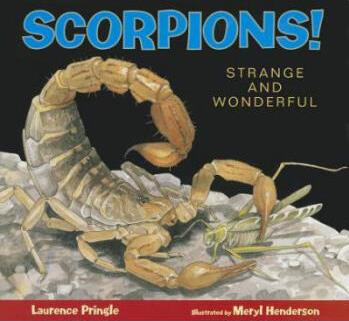 Scorpions!