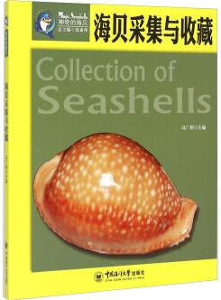 海貝采集與收藏 [Collection of Seashells]