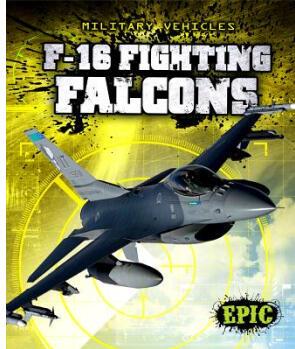 F-16 Fighting Falcons