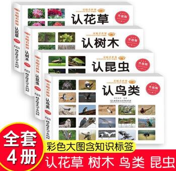 童眼看世界 認(rèn)鳥類 認(rèn)樹木 認(rèn)昆蟲 認(rèn)花草 [3-6歲]