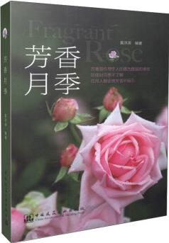 芳香月季