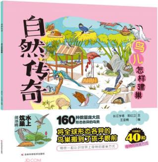 自然傳奇科學繪本 鳥兒怎樣建巢 [6-12歲]