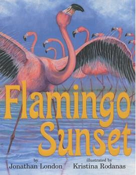 Flamingo Sunset