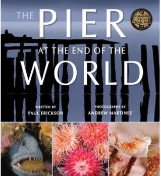 The Pier at the End of the World