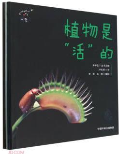 一季(套裝共5冊)