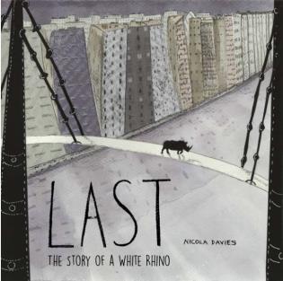 Last: The Story of a White Rhino 最后: 白犀牛的故事