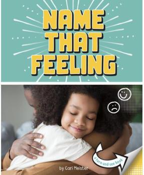 Name That Feeling: A Turn-And-See Book