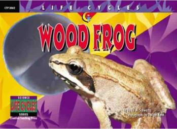 Wood Frog