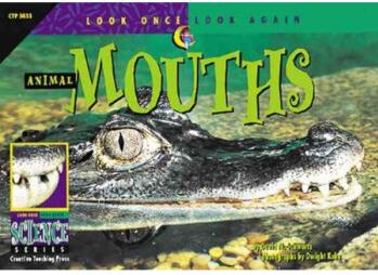 Animal Mouths Look Once, Look Again