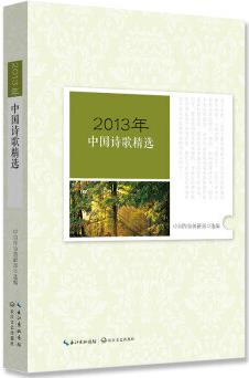 2013年中國報告文學(xué)精選 【正版圖書, 放心購買】