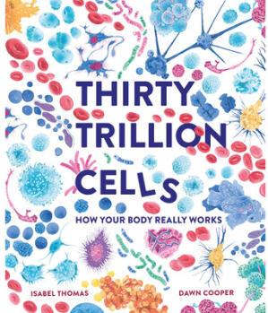 Thirty Trillion Cells