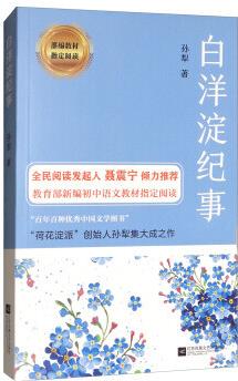 白洋淀紀(jì)事