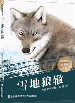 黑鶴給孩子的生命智慧——雪地狼轍 2023暑假讀一本好書小學(xué)高年級