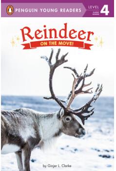 Reindeer: On the Move!