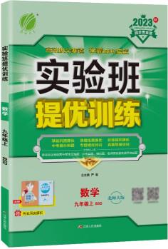 實驗班提優(yōu)訓練 初中數(shù)學九年級上冊 北師大版BSD 課時同步強化練習拔高特訓 2023年秋