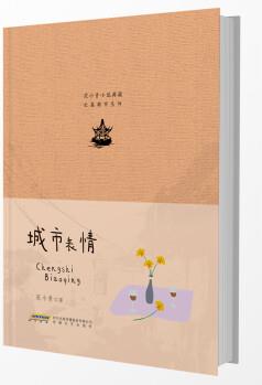 范小青小說典藏 長篇都市系列 城市表情