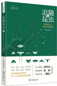 追隨昆蟲2: 暗夜舞臺(tái)與迷霧中的推理(自然感悟)