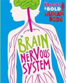 Bright and Bold Human Body: The Brain and Nervous System