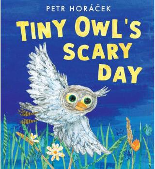 【4周達(dá)】Tiny Owl's Scary Day