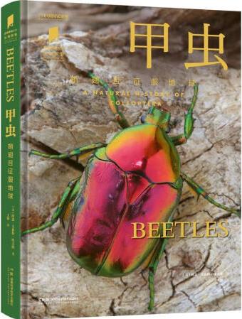 中國(guó)國(guó)家地理甲蟲阿瑟·文森特·埃文斯王攀湖南科學(xué)技術(shù)出版社9...