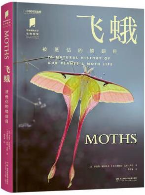 中國國家地理飛蛾 9787571016869 科普讀物書籍