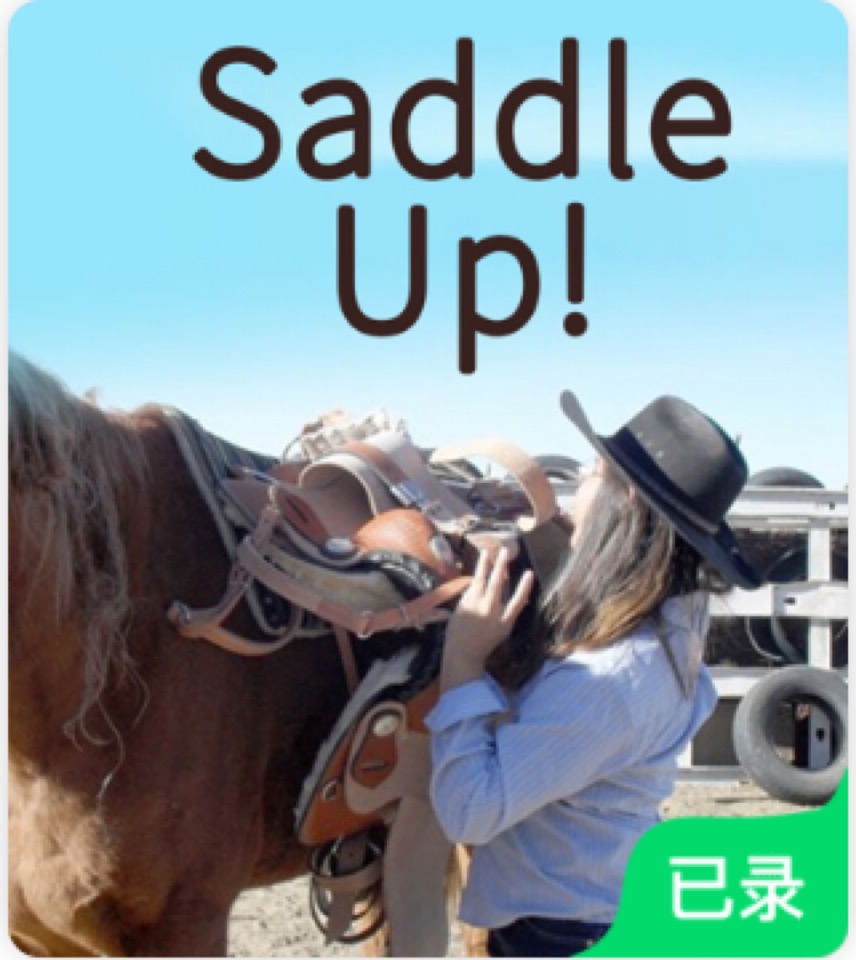 Saddle Up !