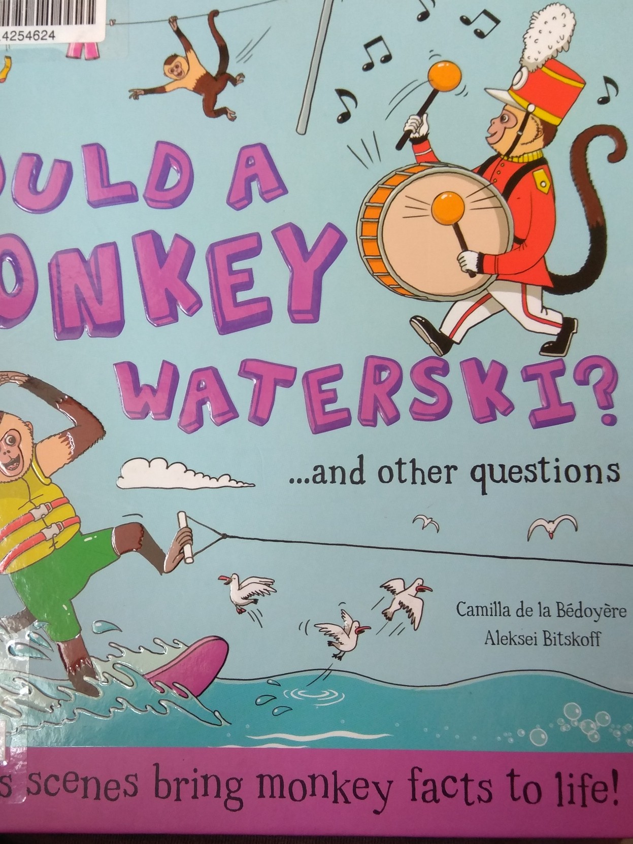 could a monkey waterski