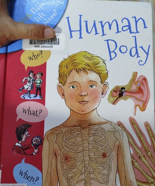 human body