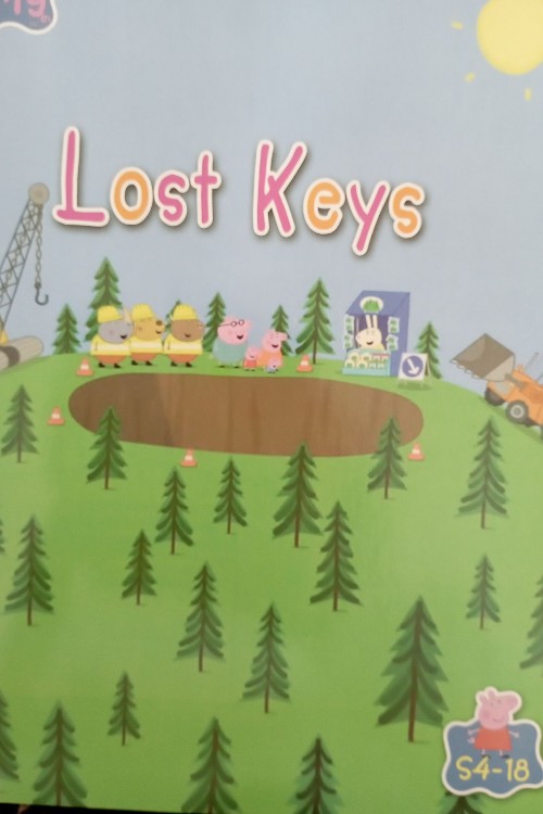 Lost key