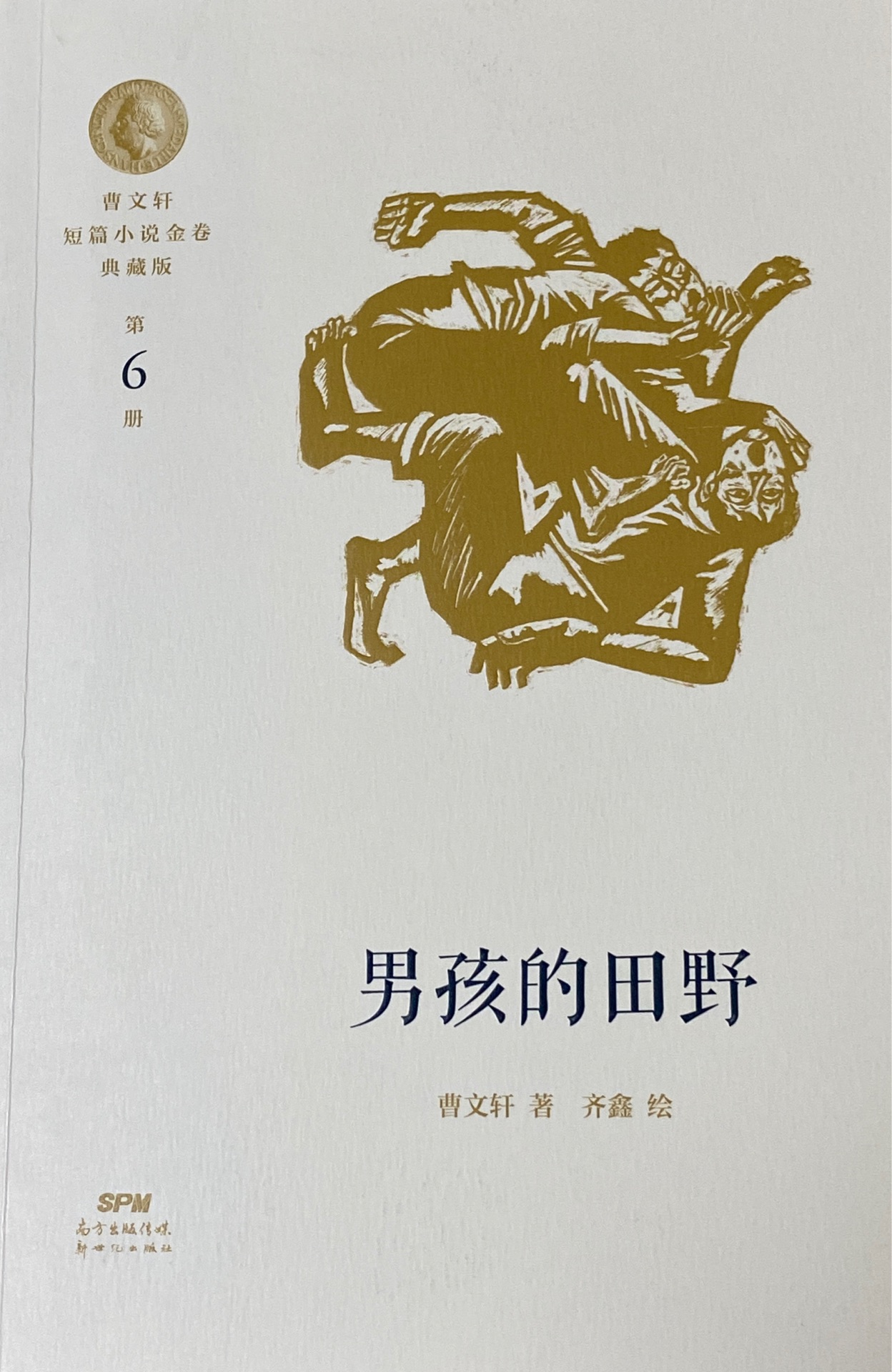 曹文軒短篇小說(shuō)金卷典藏版 第6冊(cè) 男孩的田野