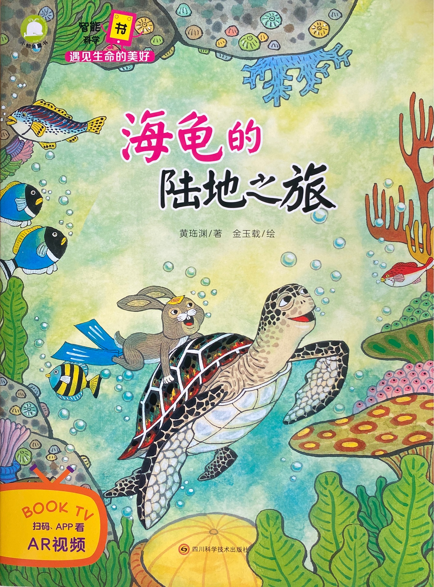 遇見生命的美好·海龜的陸地之旅