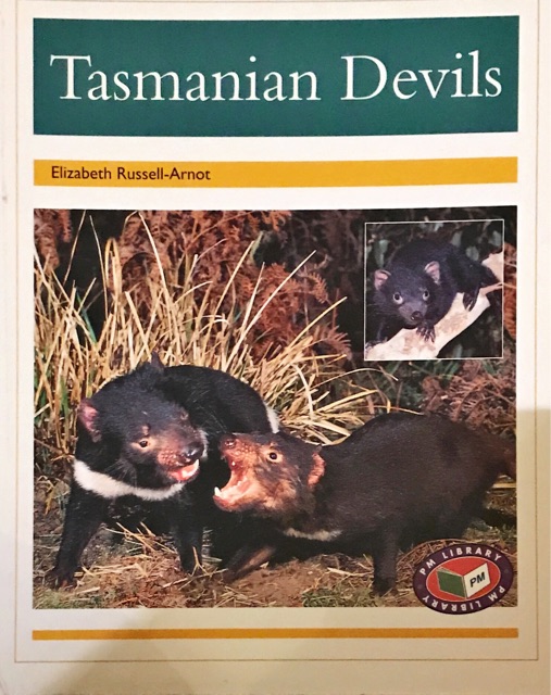 Tasmanian Devils PM Non Fiction Animal Facts Level 22 Nocturnal Animals Gold