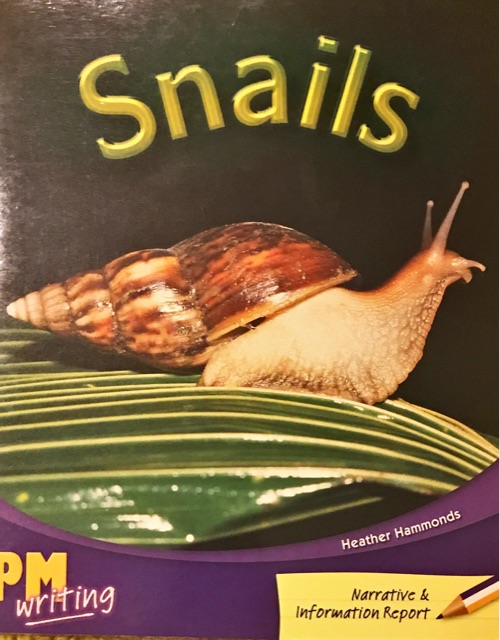 Snails