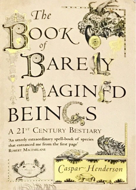 The book of barely imagined beings