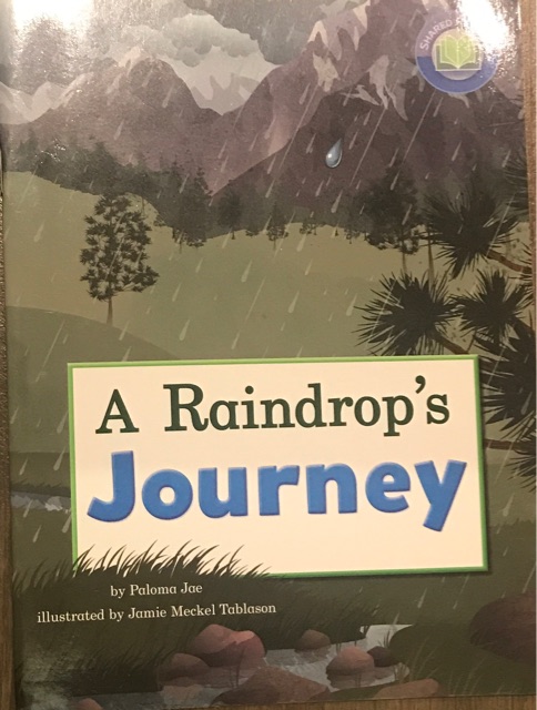 A raindrop's journey