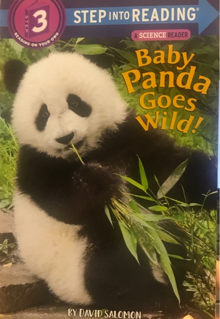 Baby panda goes wild