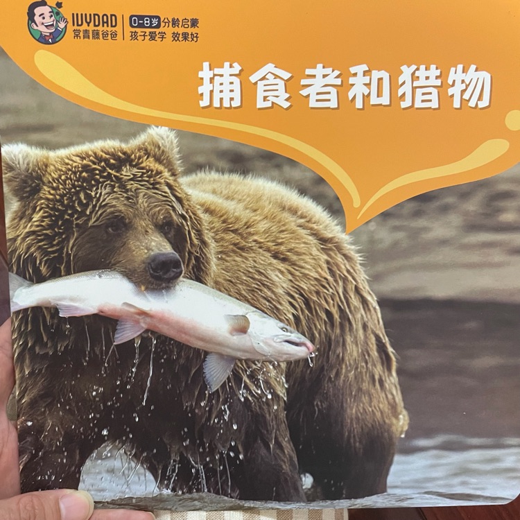 捕食者和獵物