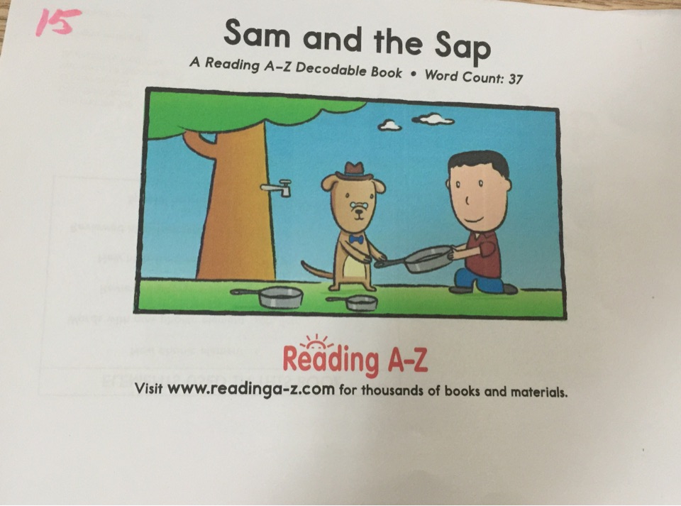 sam and  the sap