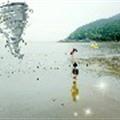 橙媽在線