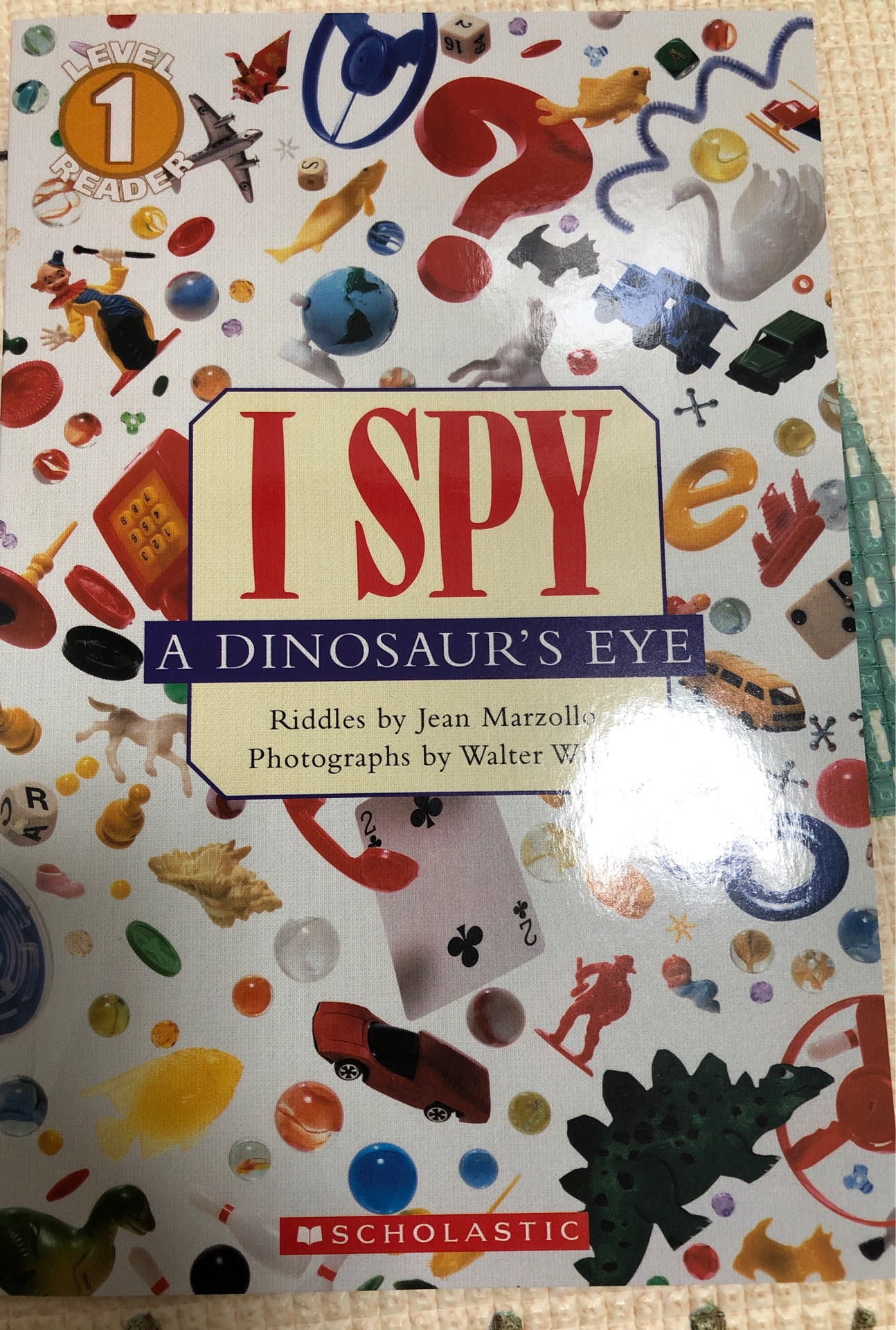 A DINOSAUR'S EYE