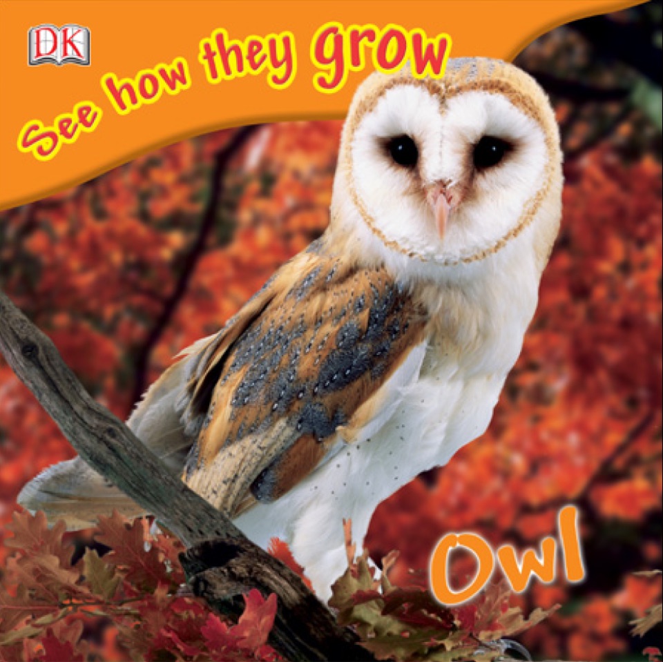 DK See How They Grow: Owl