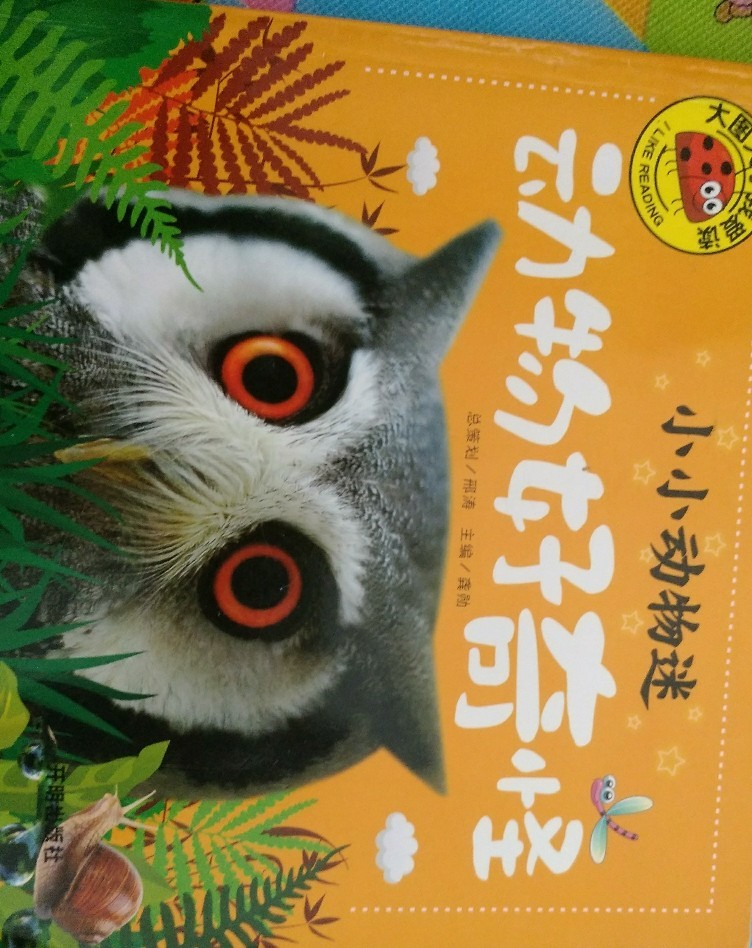 動物好奇怪