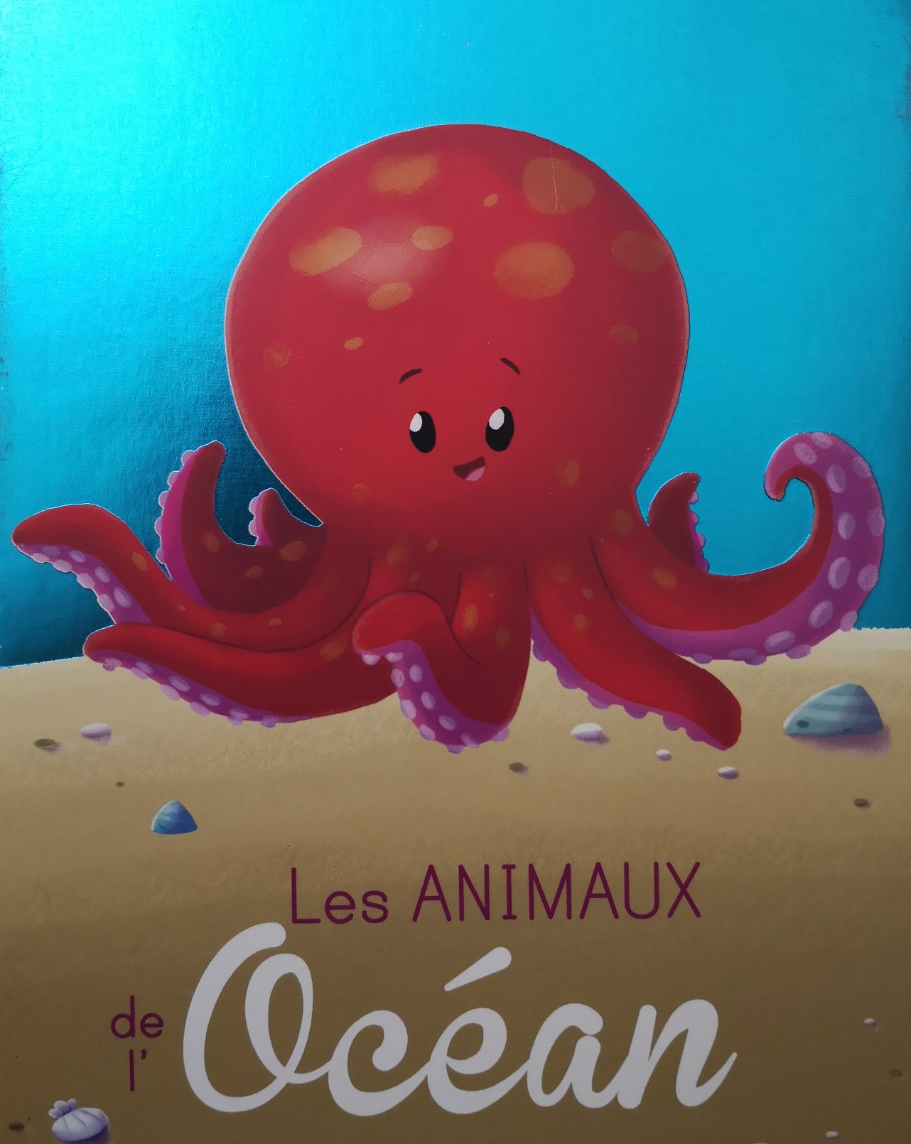 Les animaux de l'océan