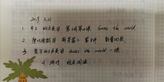 3.21計(jì)劃及情況
