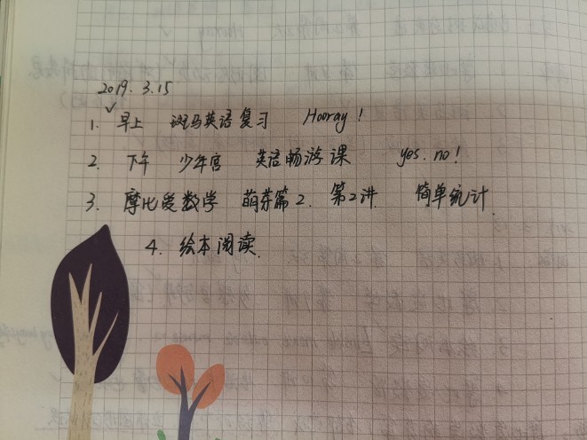 3.15計(jì)劃及情況