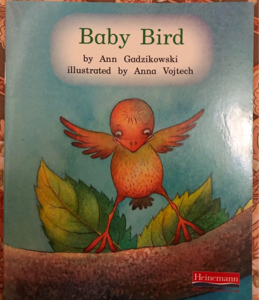 baby bird