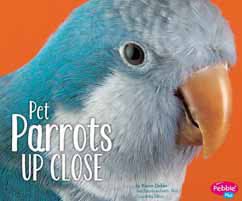 Pet parrots up close